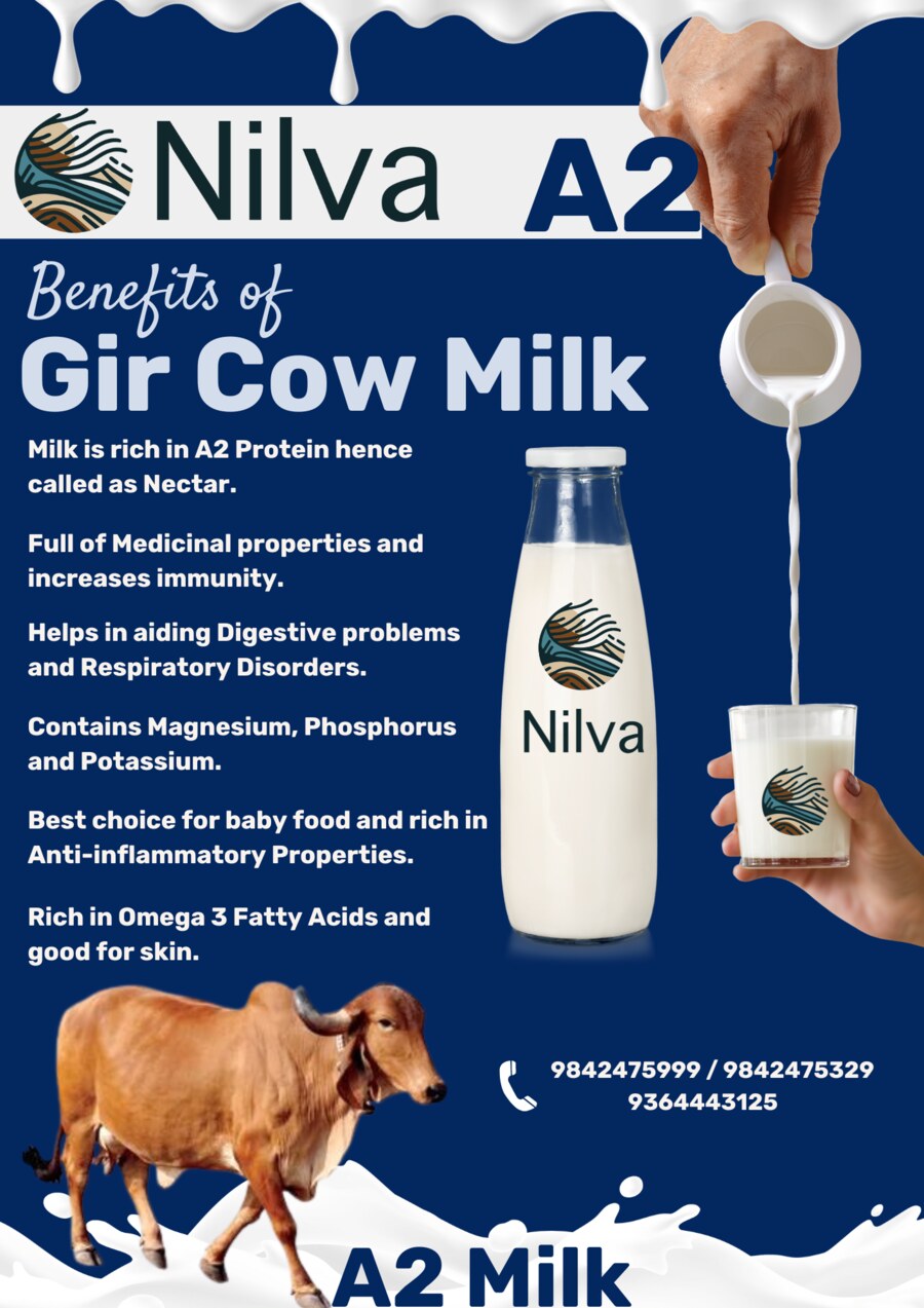 NILVA poster